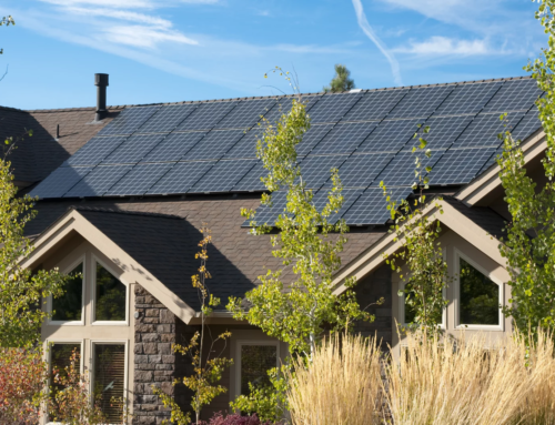 Este verano, deja que el sol trabaje para ti