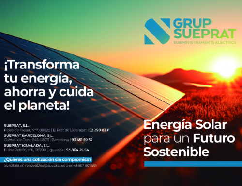 EL SOL ES GRATIS ☀️ ¡APROVÉCHALO!